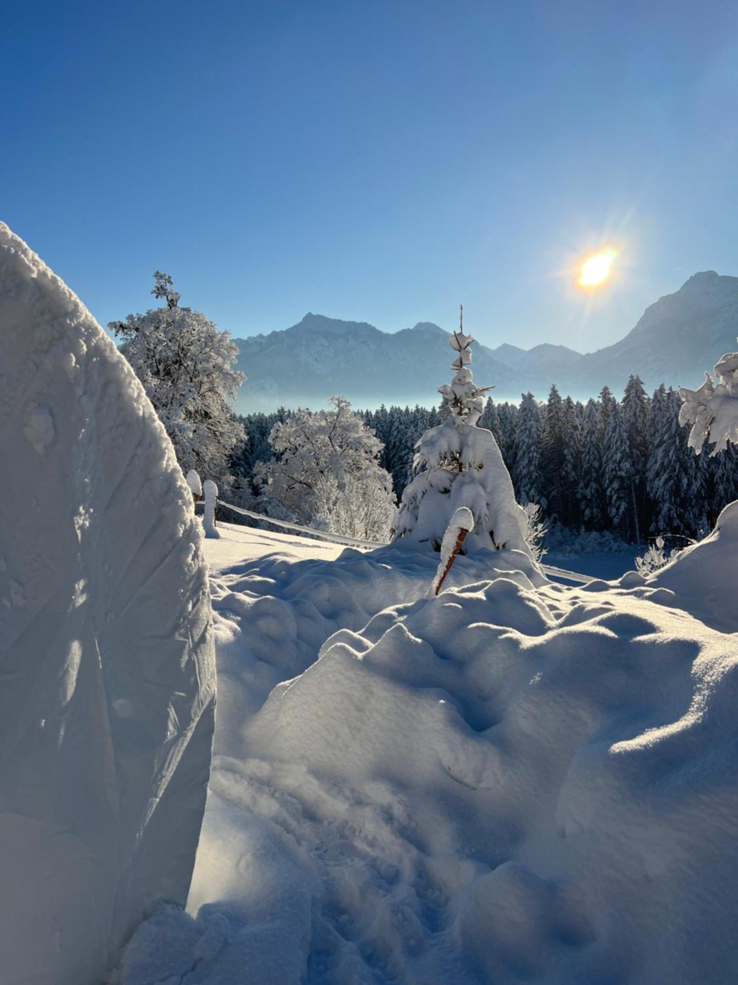 Bubble Tent Fuessen Im Allgaeu Exterior photo